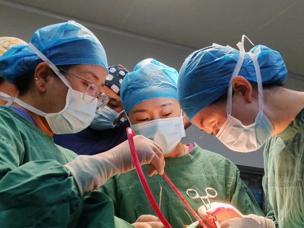 渝昌连“心”，医暖高原丨十年医疗援昌，格桑花开正美